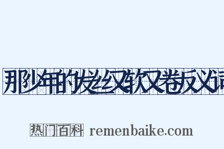 那少年的发丝又软又卷反义词是什么意思的图片